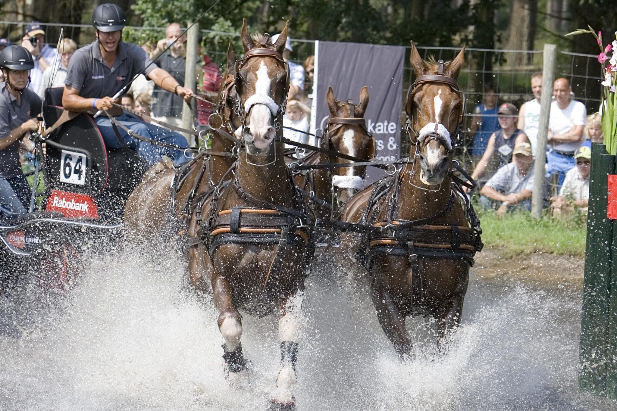 paardenspektakel beekbergen